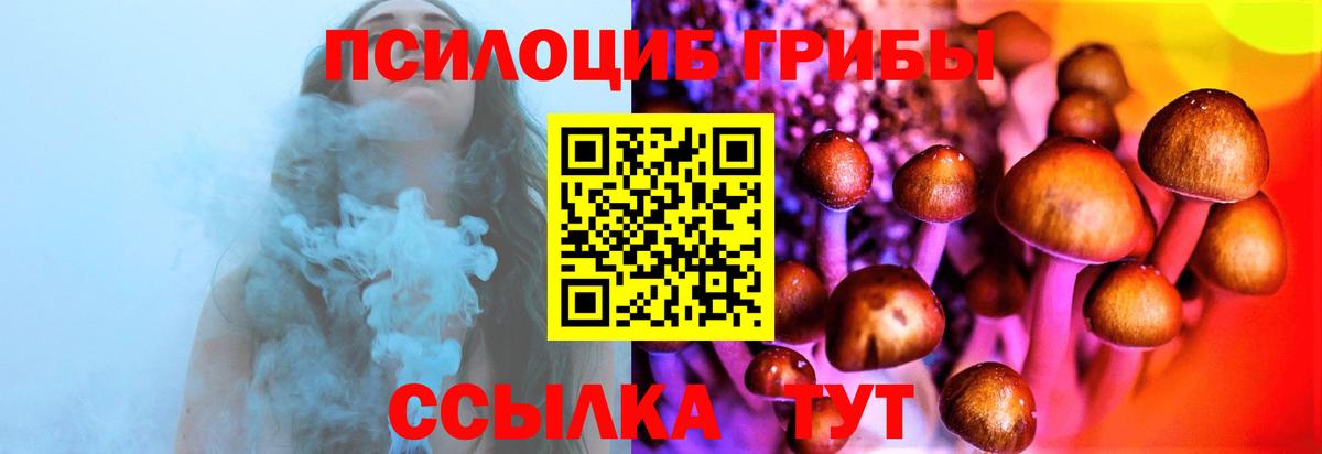 цены   Галлюциногенные грибы Cubensis  Вход с VPN  Люберцы 